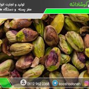 مرکز خرید پسته نمکی تبریز