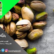 خرید مستقیم مغز پسته اکبری کرمان