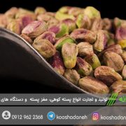 بازار صادرات مغز پسته کرمان